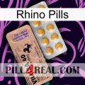 Rhino Pills 41